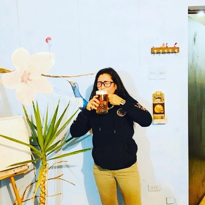 ヴァルパライソ Beer&Beer Bed & Breakfast エクステリア 写真